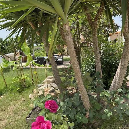 Pepis Holiday home *